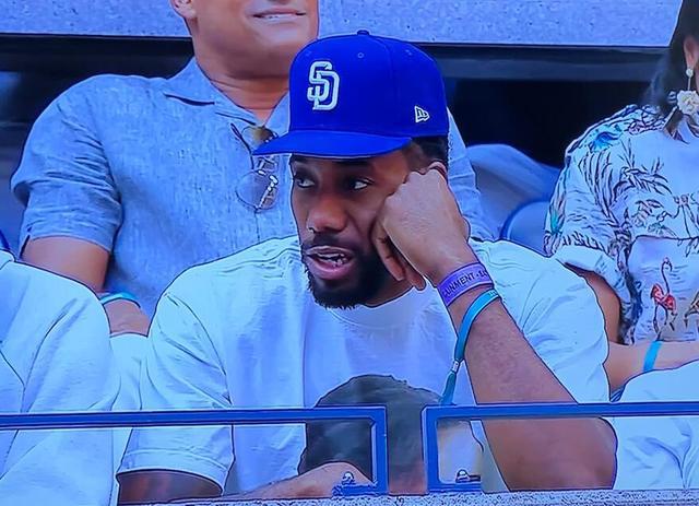 的双重能力 的双重能力